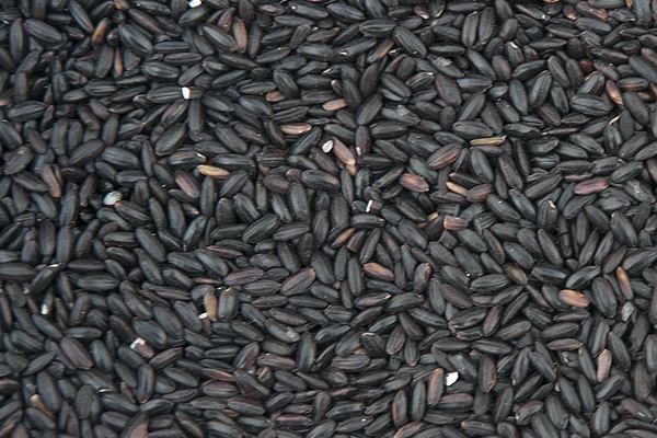 黑芝麻的功效与作用